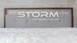 BEDGEAR Storm Performance Pillow