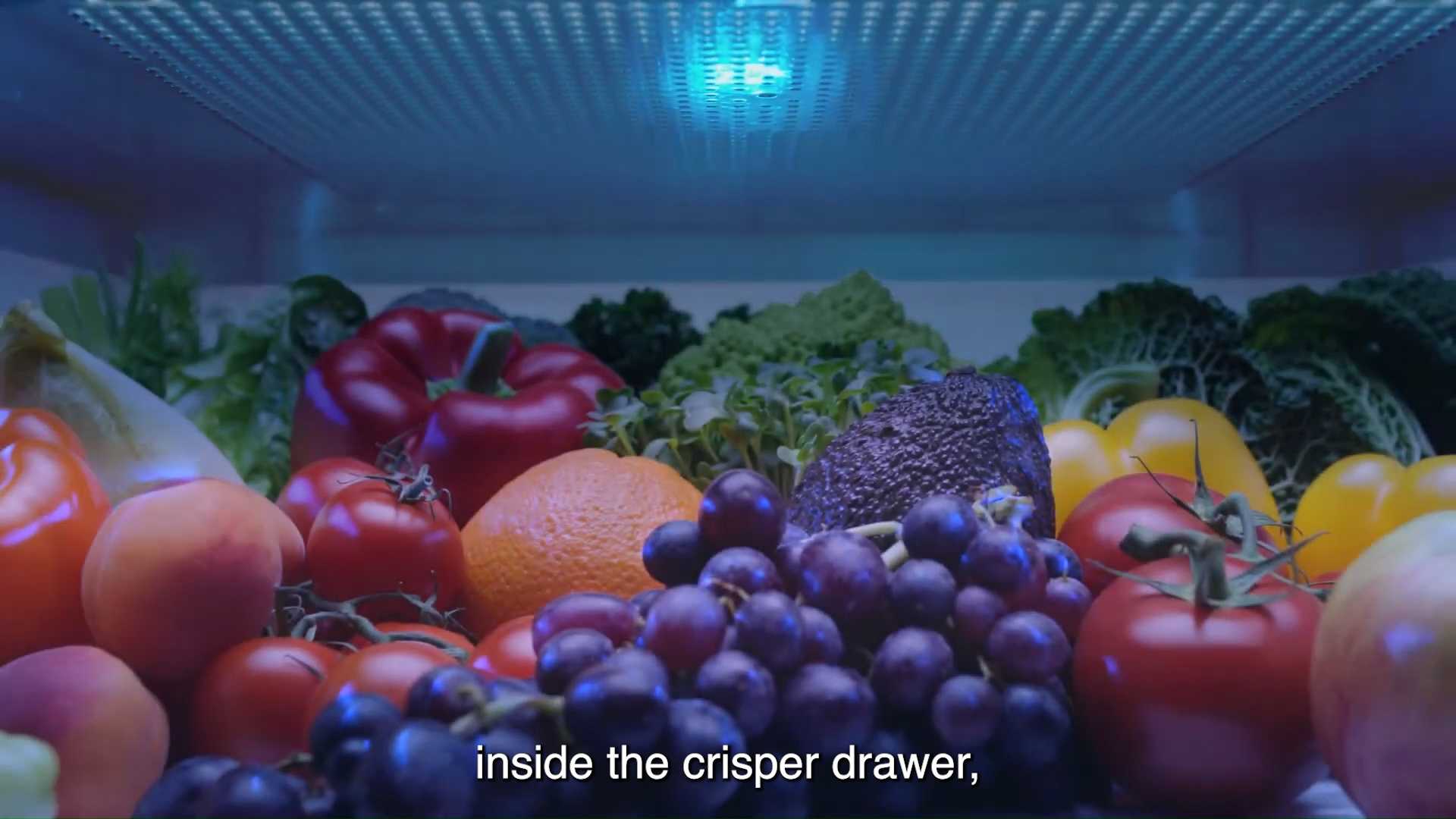 a6d9c108-277d-4094-8f22-0fbcb8ad5f00.mp4
