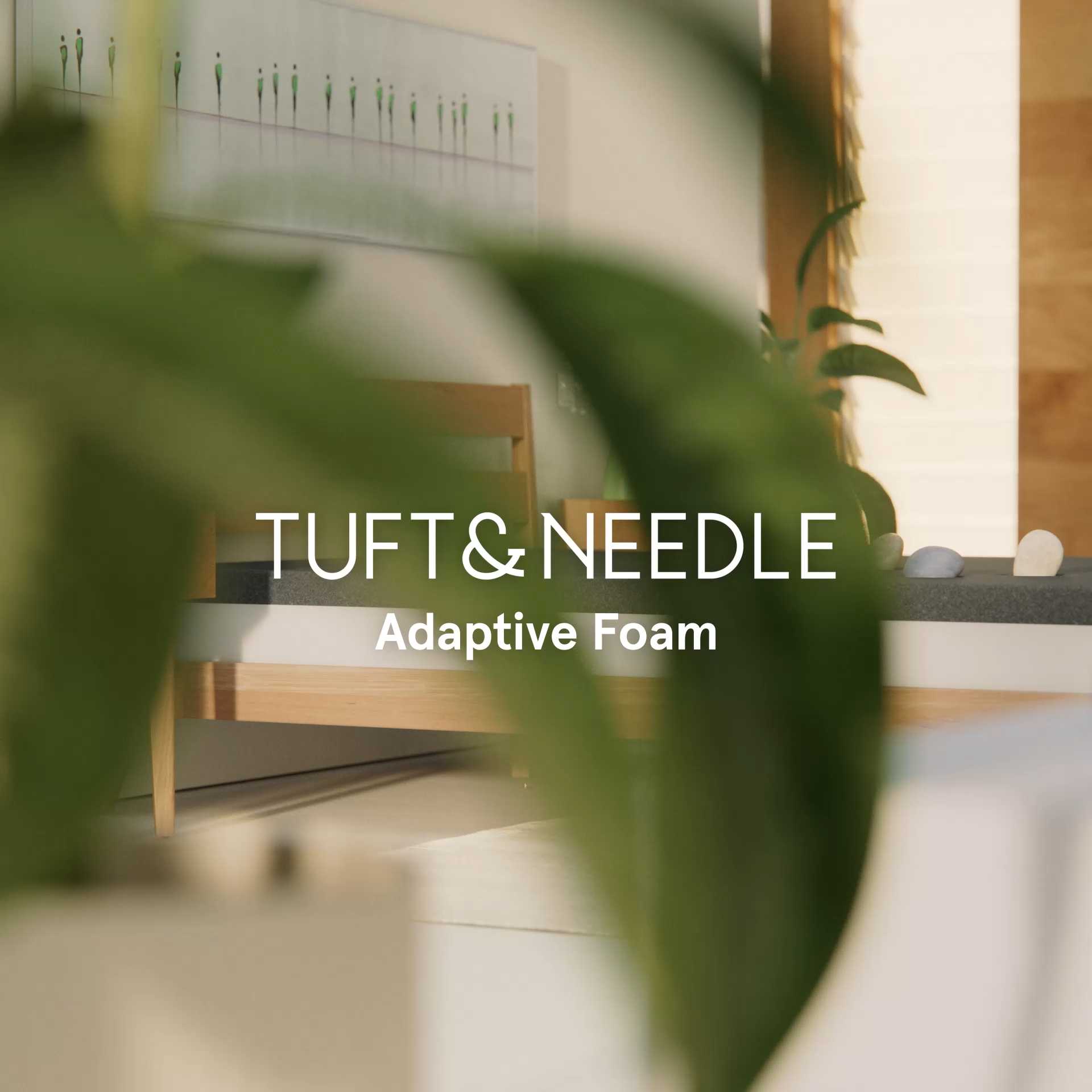 Tuft & Needle Original