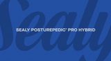 Sealy Posturepedic Pro