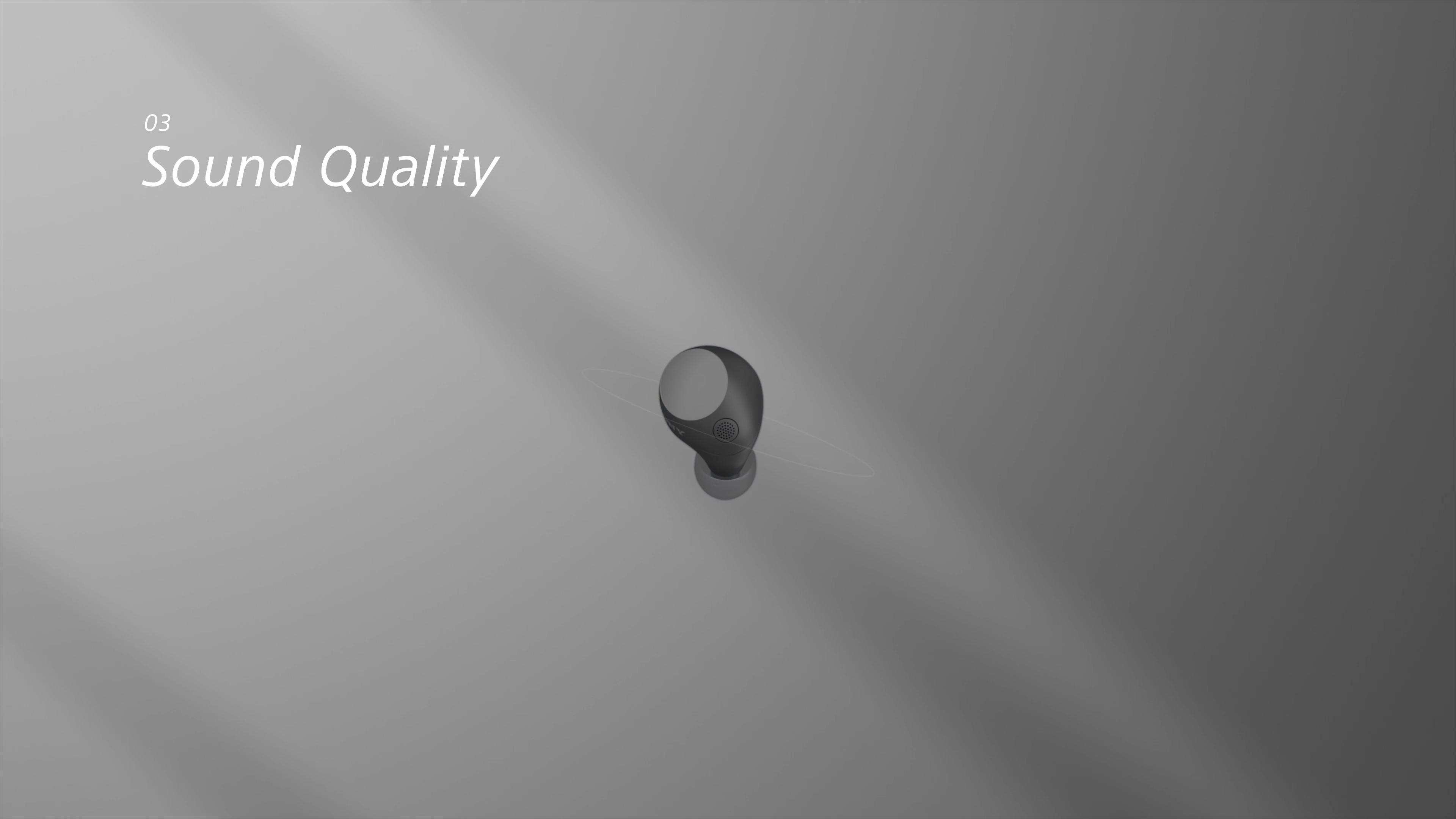 Sony Black Wireless Noise Canceling In-Ear Headphone