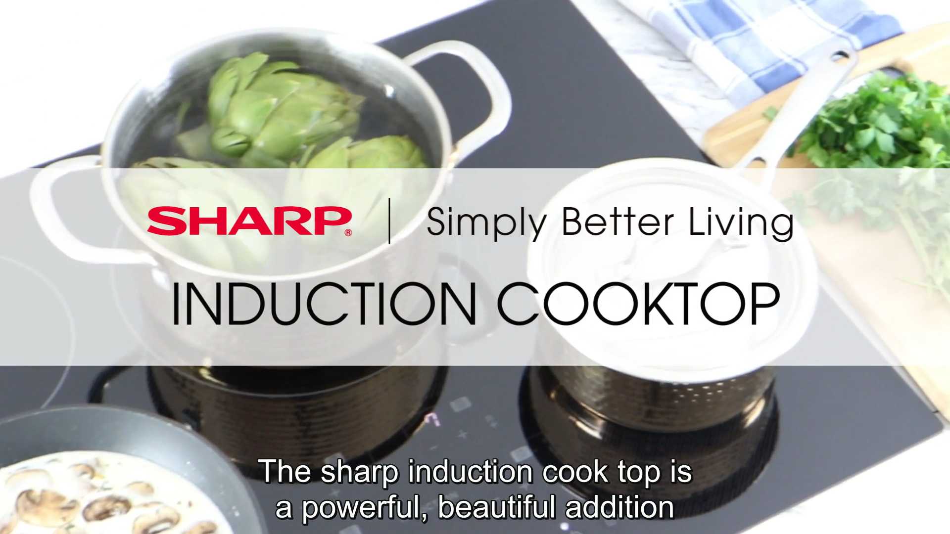 Induction Cooktop Features CC.mp4