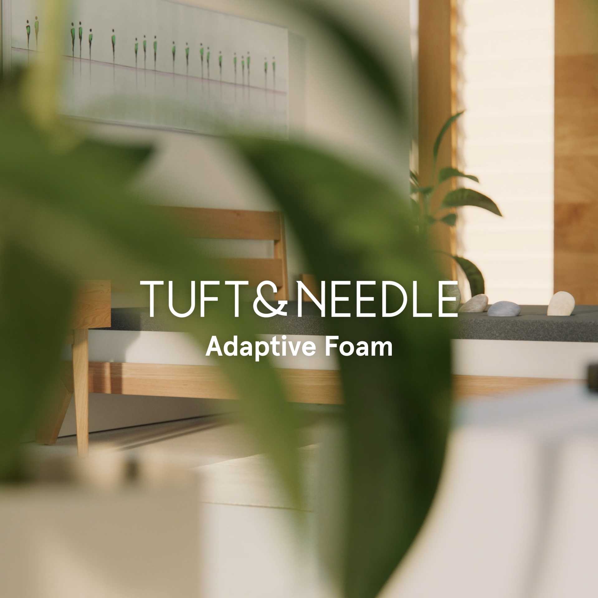 Tuft & Needle Original
