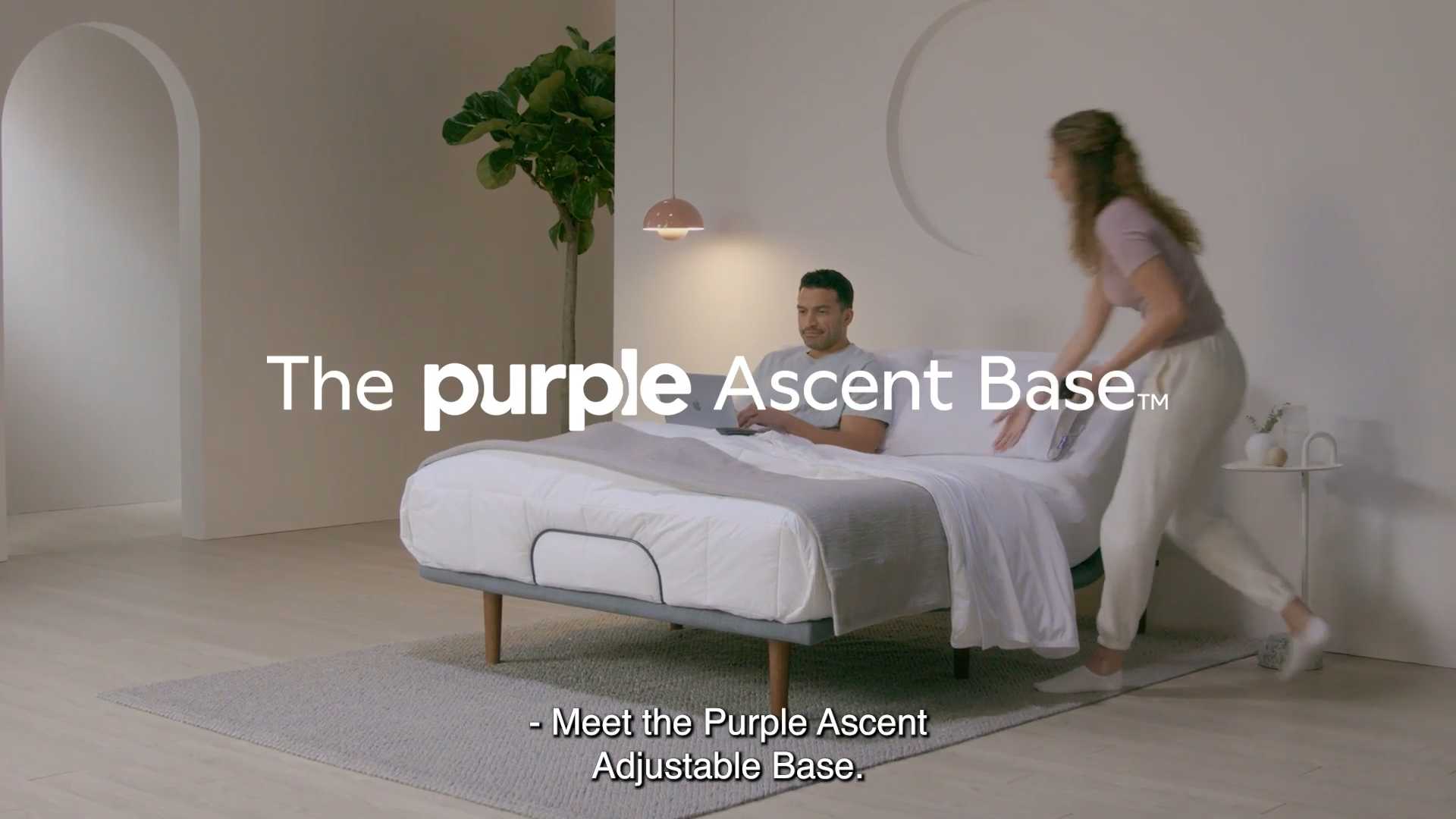 The Purple Ascent Base CC