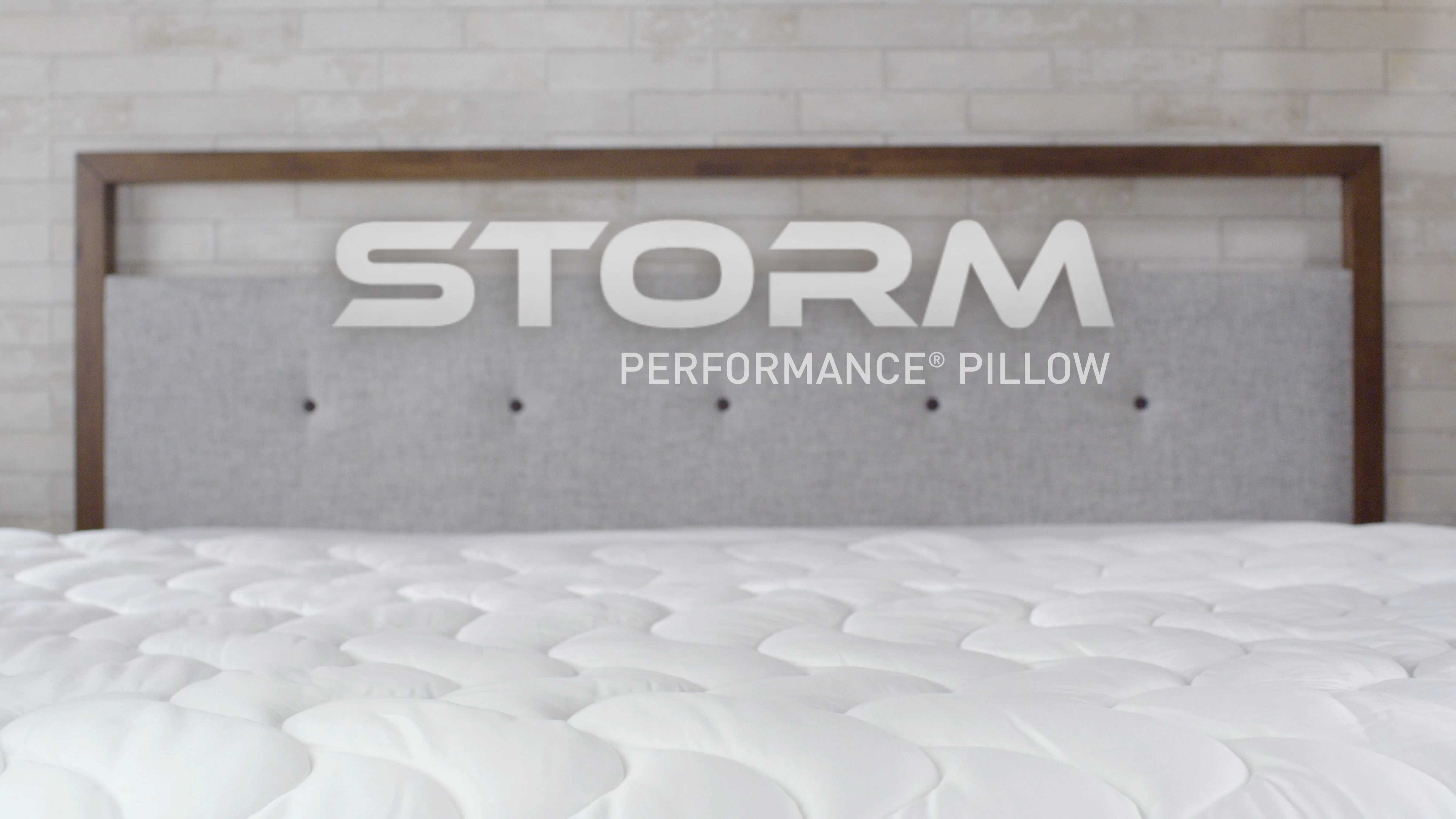 BEDGEAR Storm Performance Pillow