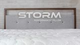 BEDGEAR Storm Performance Pillow