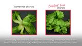CrispSeal-Fresh-Video.mp4